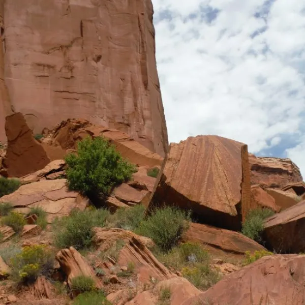 Canyon rock formations